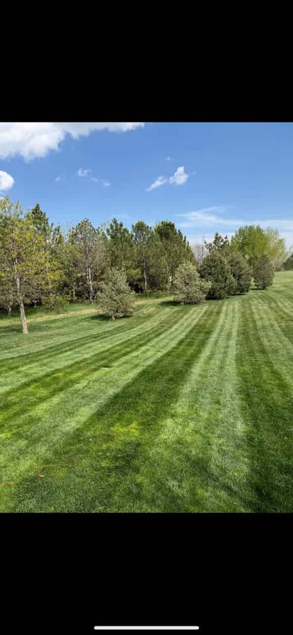 Commercial Landscape Maintenance image