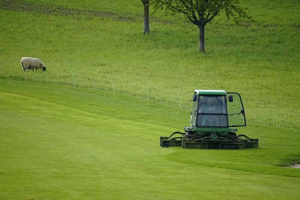 Native Mowing image
