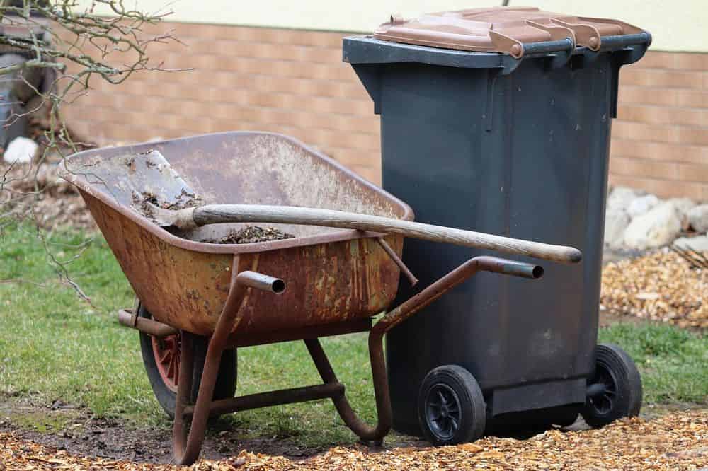  Spring Clean Up image