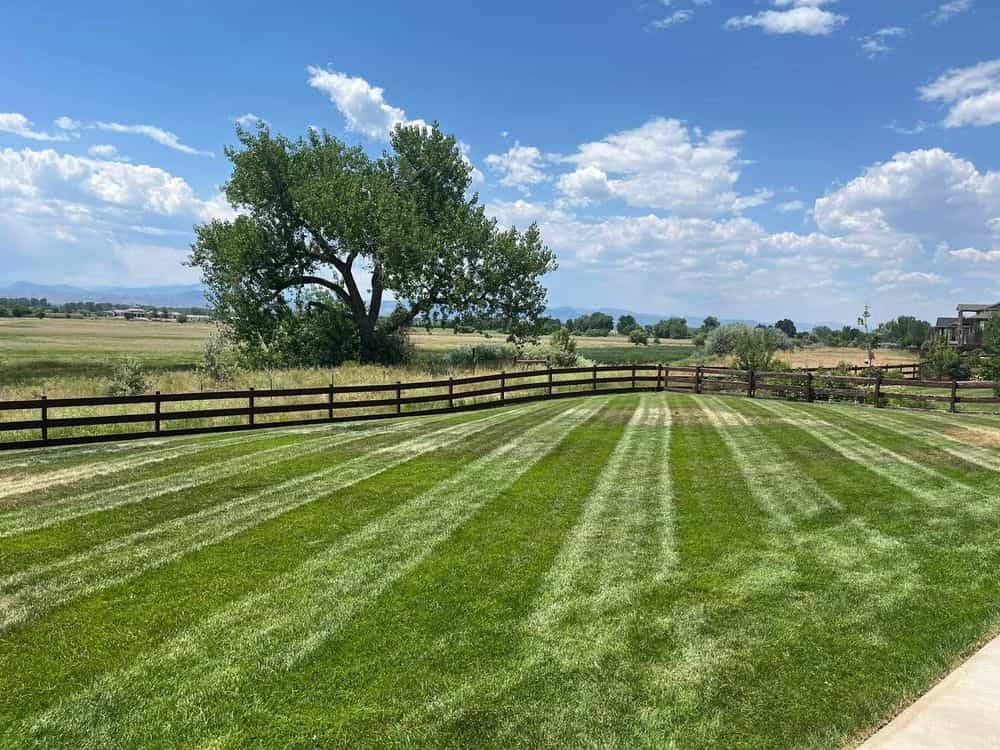 Hero image for Greening Up Landscape