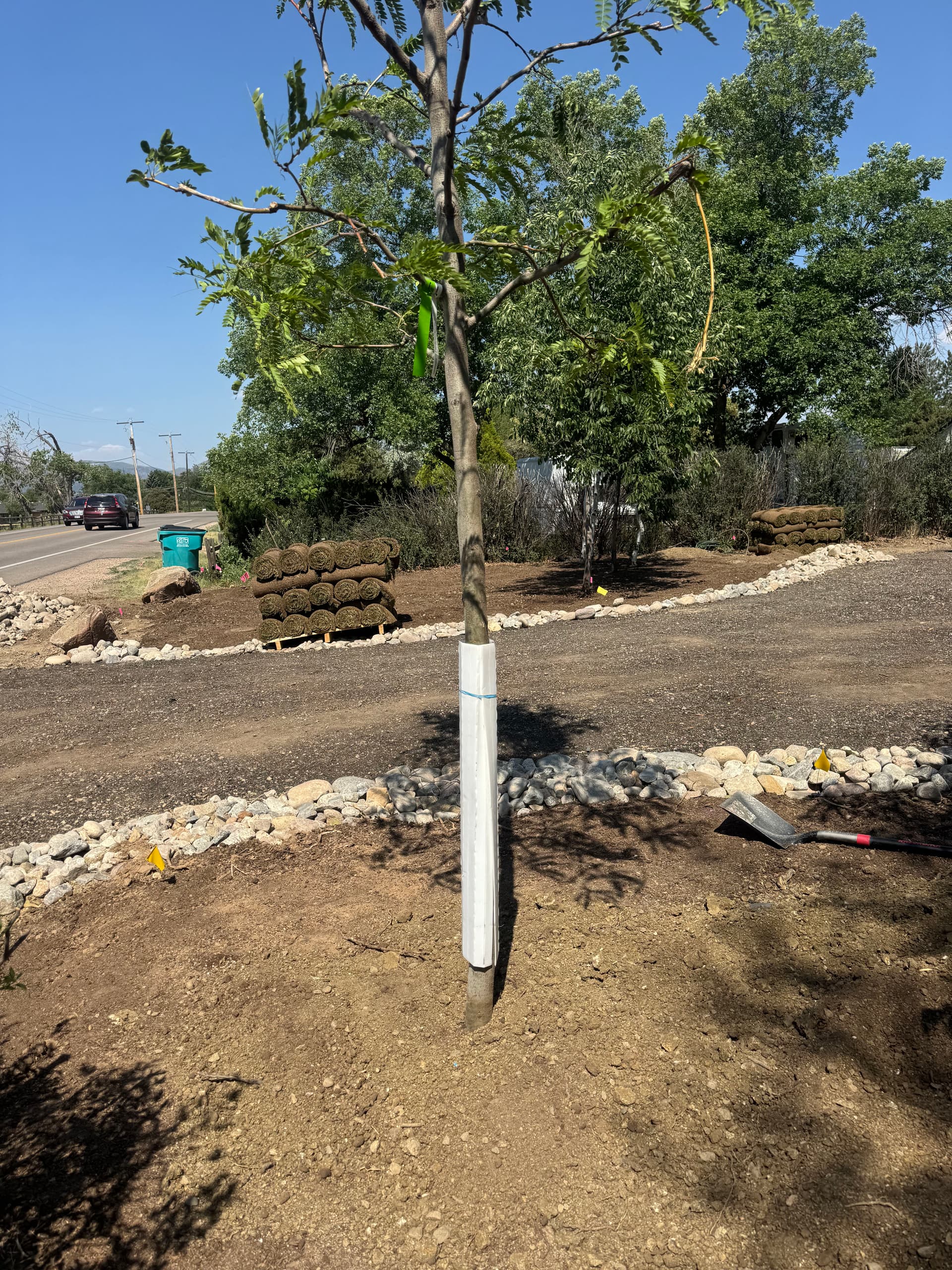 Gallery photos for Full Property Landscape Overhaul with Sod, Asphalt, Trees and More: Image #7