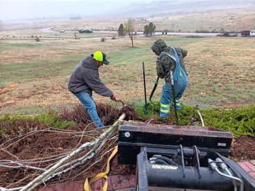 Workers digging in a field, focused on landscaping tasks in a rural setting.