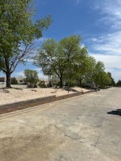 Tree-lined street under a clear blue sky with a paved path and landscaping.