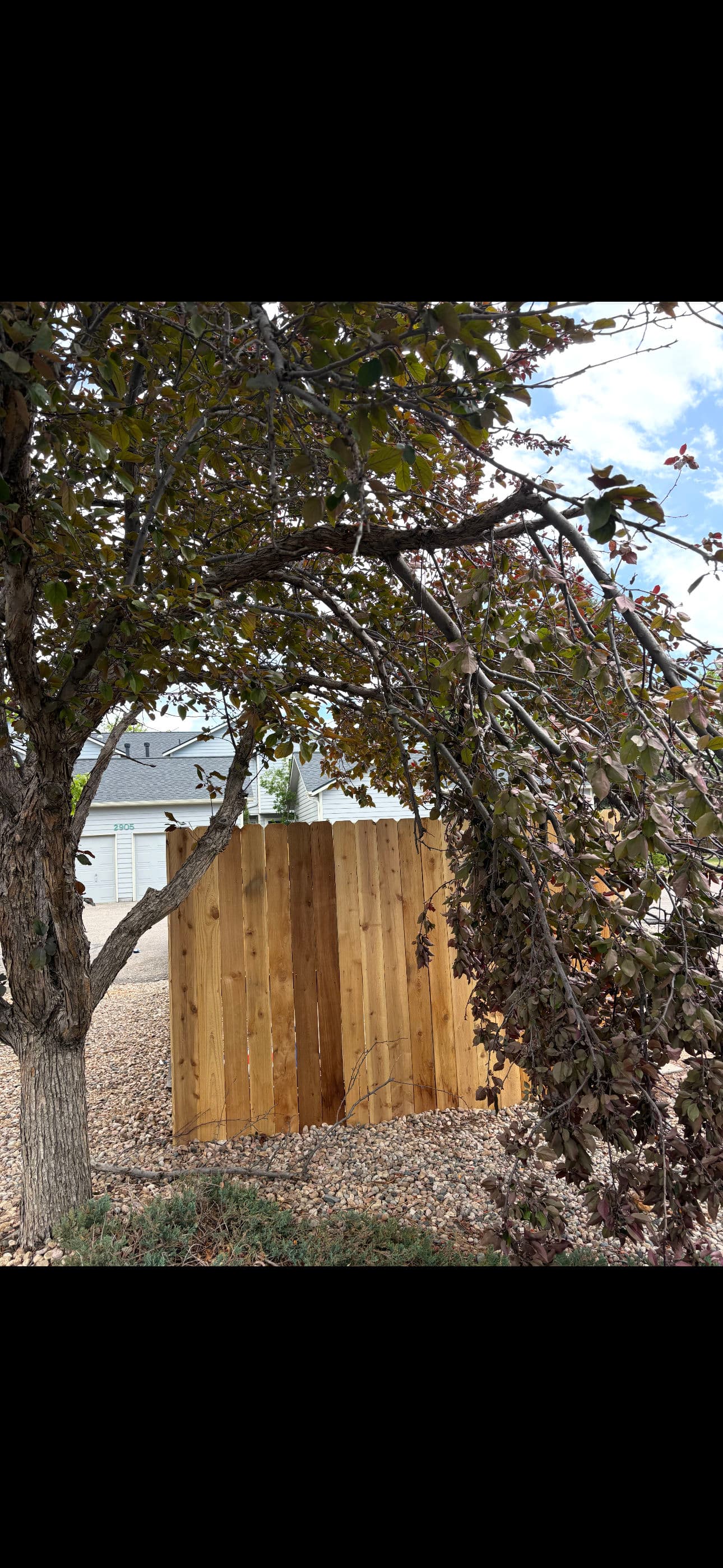 Gallery photos for May Snow Took Down Trees and We're Cleaning It Up: Image #3