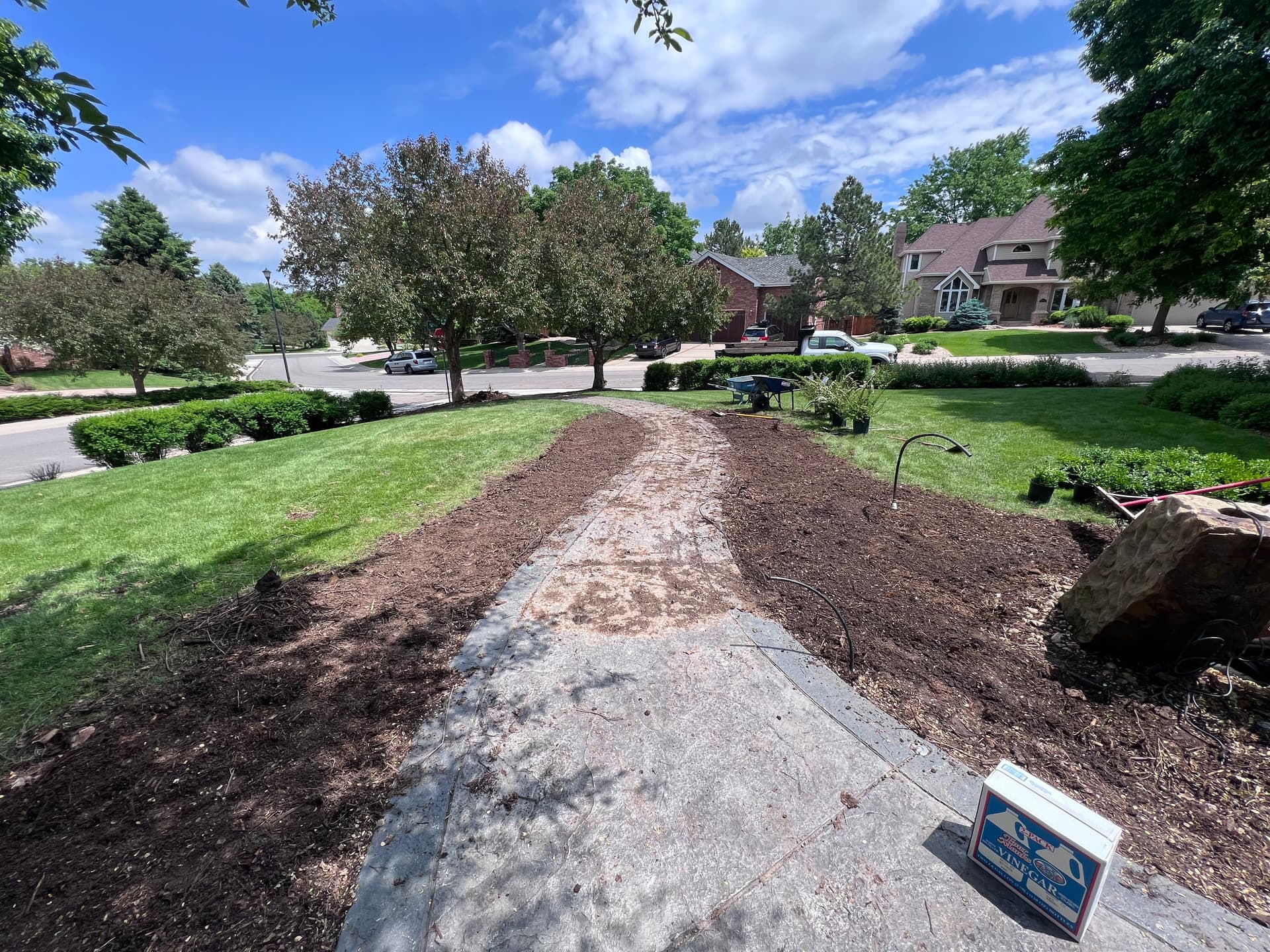 Gallery photos for Full Garden Bed Overhaul with Fresh Planting and Regrading: Image #1