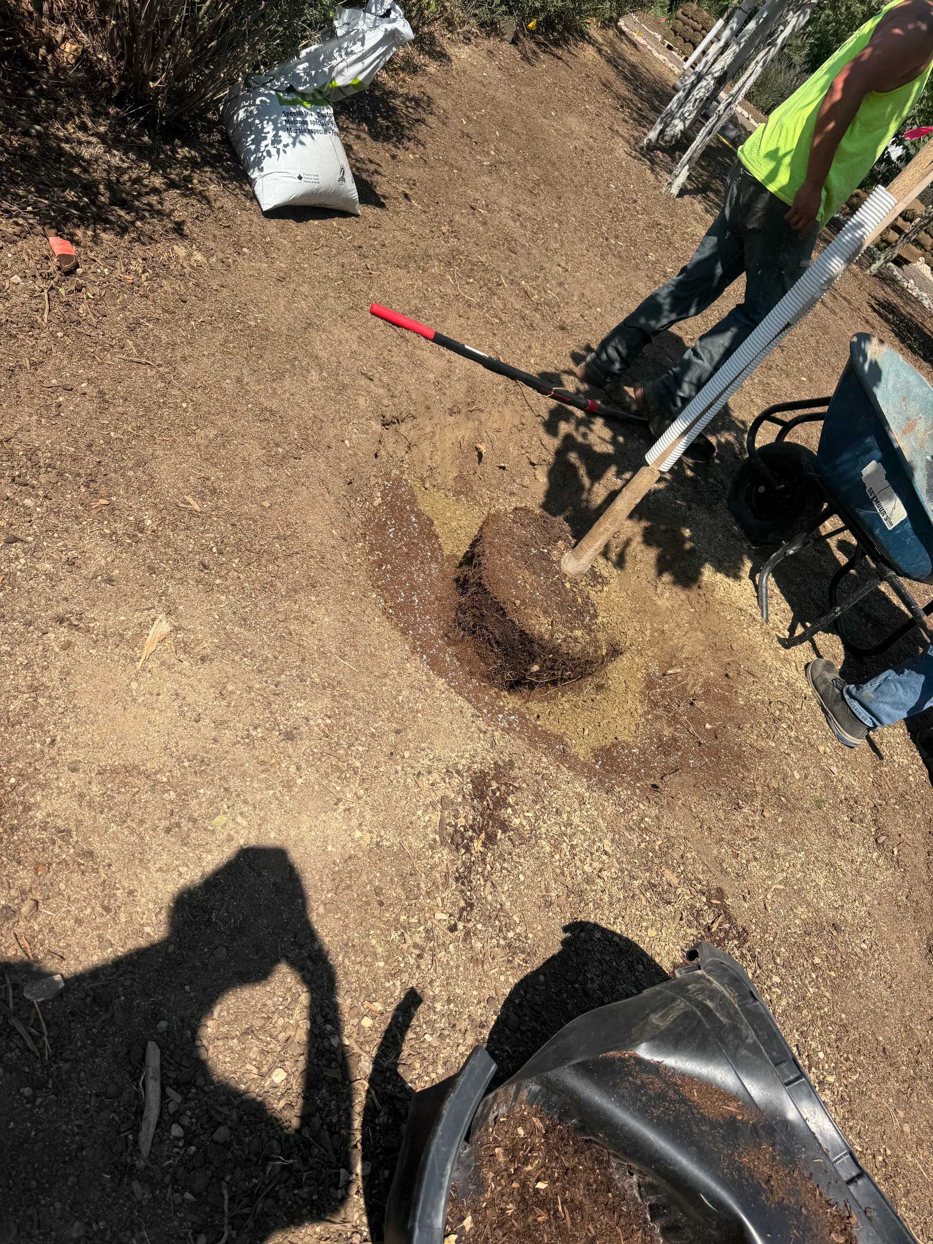 Gallery photos for Full Property Landscape Overhaul with Sod, Asphalt, Trees and More: Image #6