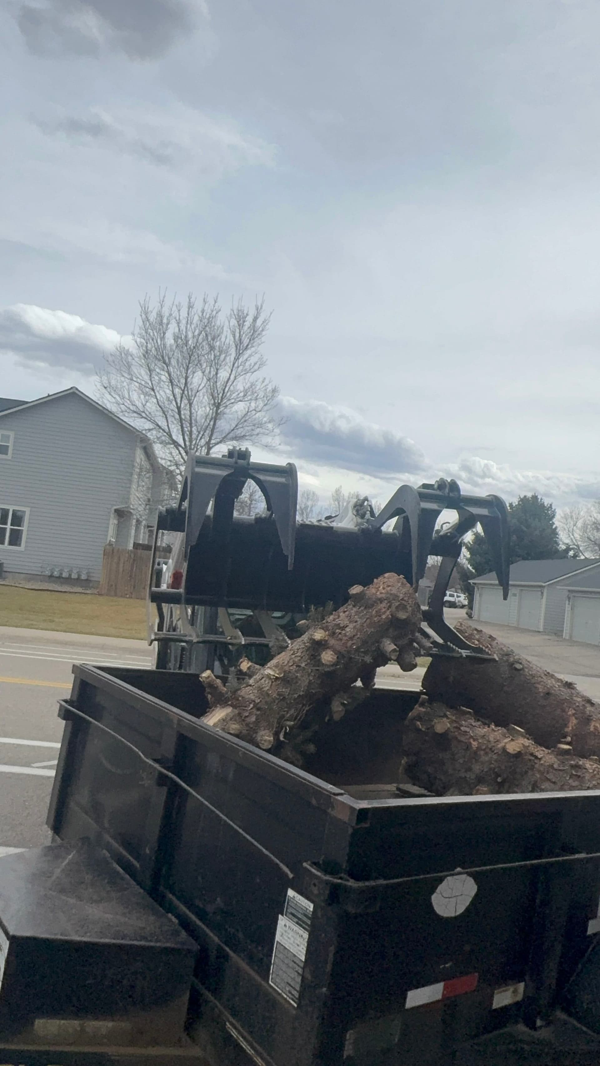 Gallery photos for 3 Massive Storm-Downed Trees Removed After 90mph Winds: Image #1