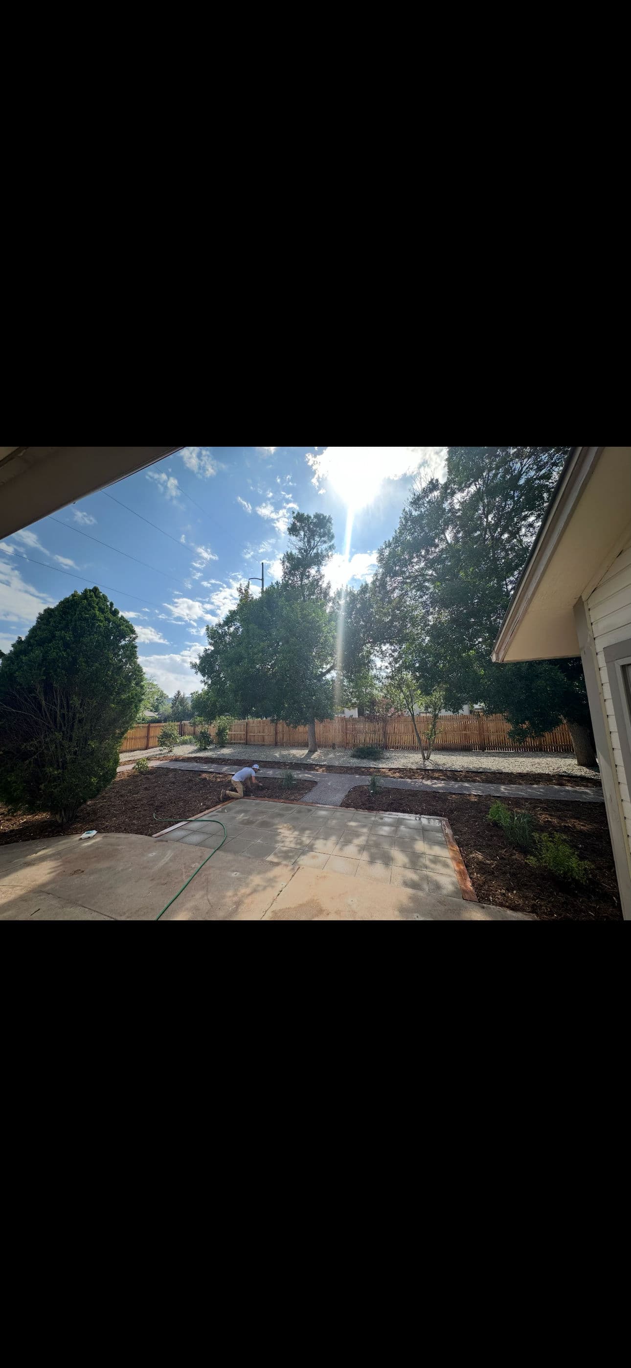Weed-Choked Backyard Gets a Low-Maintenance Hardscape and Softscape Overhaul
