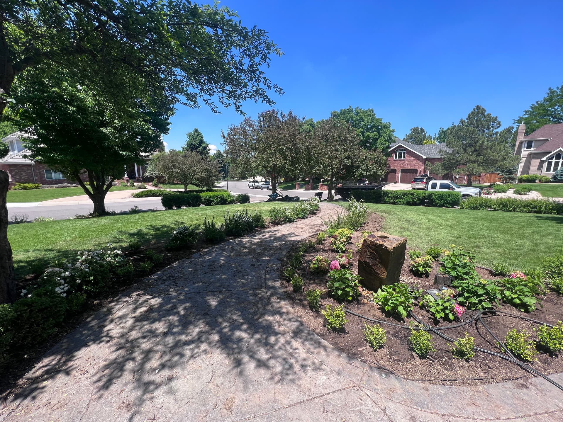Full Garden Bed Overhaul with Fresh Planting and Regrading image