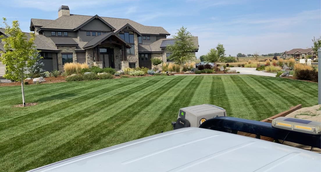 Gallery photos for Some of Our Best Lawn Stripes Over the Years: Image #2