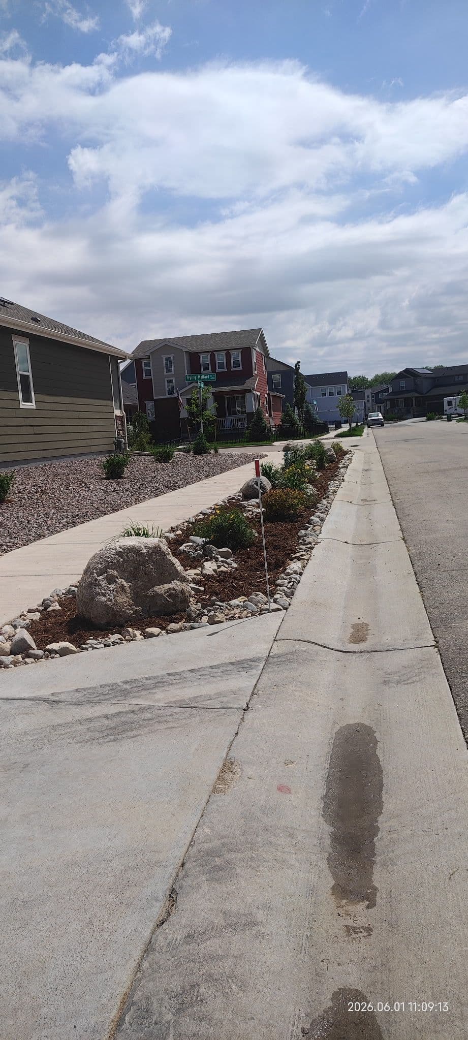 Gallery photos for Grass Out, Xeriscape In - Less Water, Less Work, Better Curb Appeal: Image #4