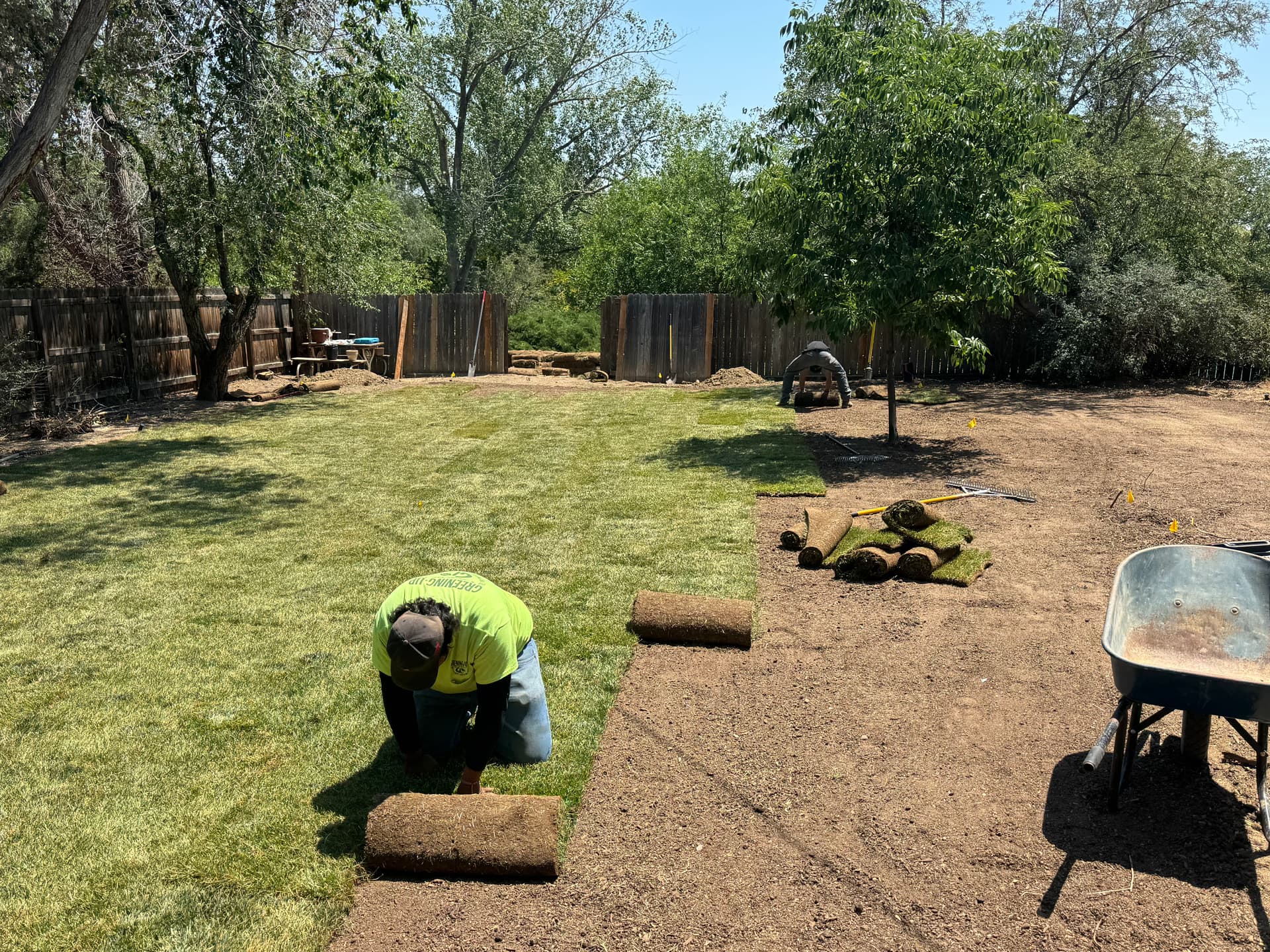 Gallery photos for Full Property Landscape Overhaul with Sod, Asphalt, Trees and More: Image #8