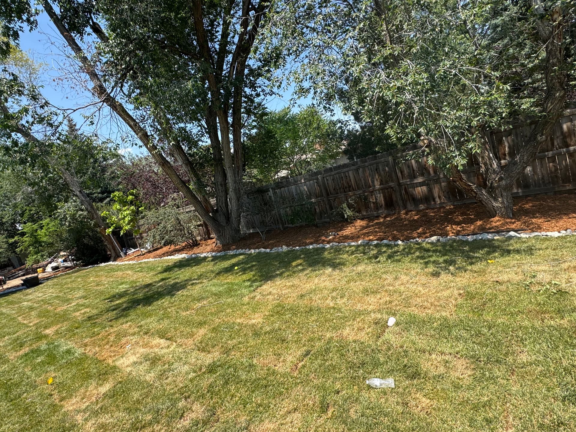 Gallery photos for Full Property Landscape Overhaul with Sod, Asphalt, Trees and More: Image #4