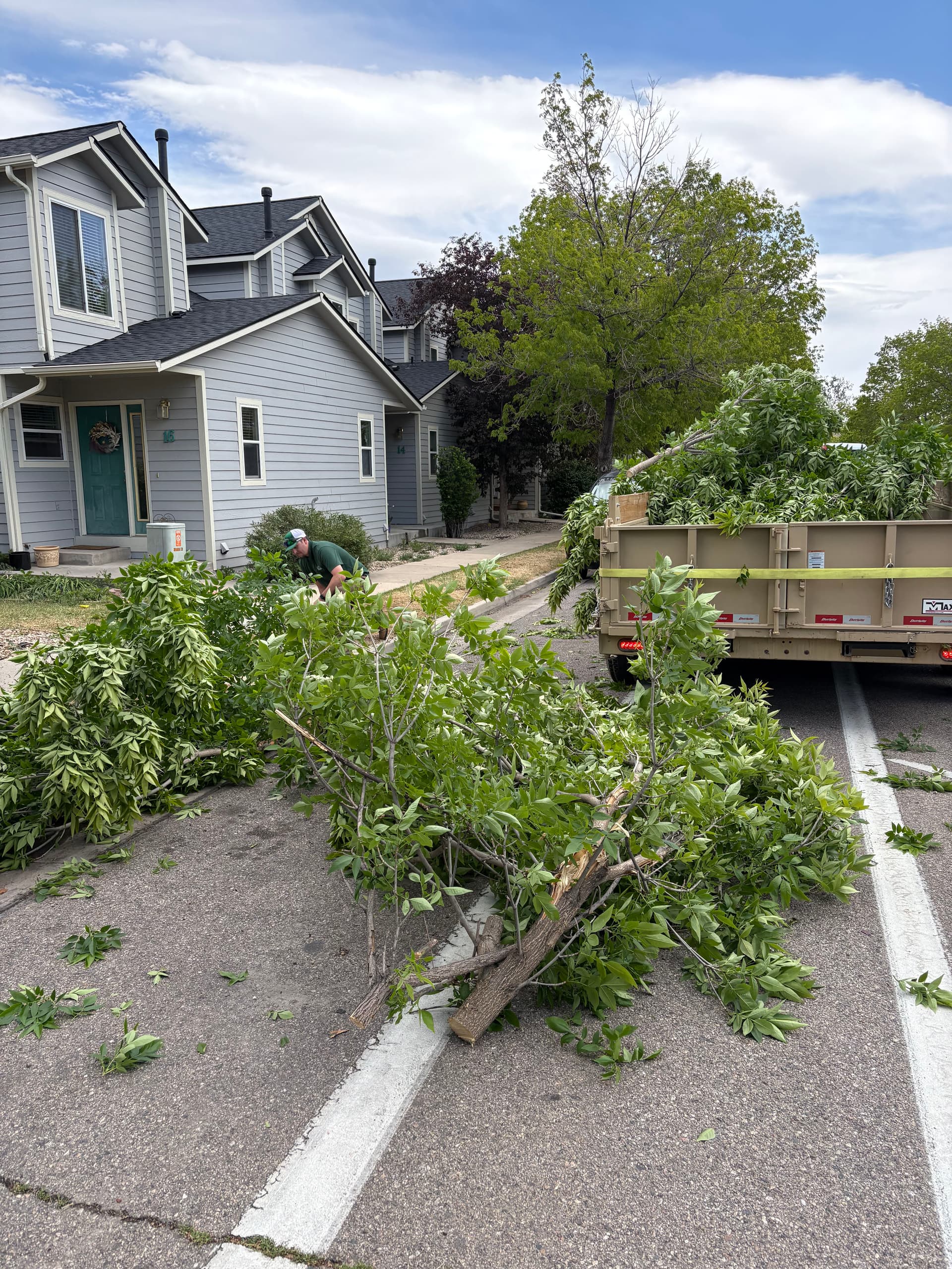 May Snow Took Down Trees and We're Cleaning It Up image