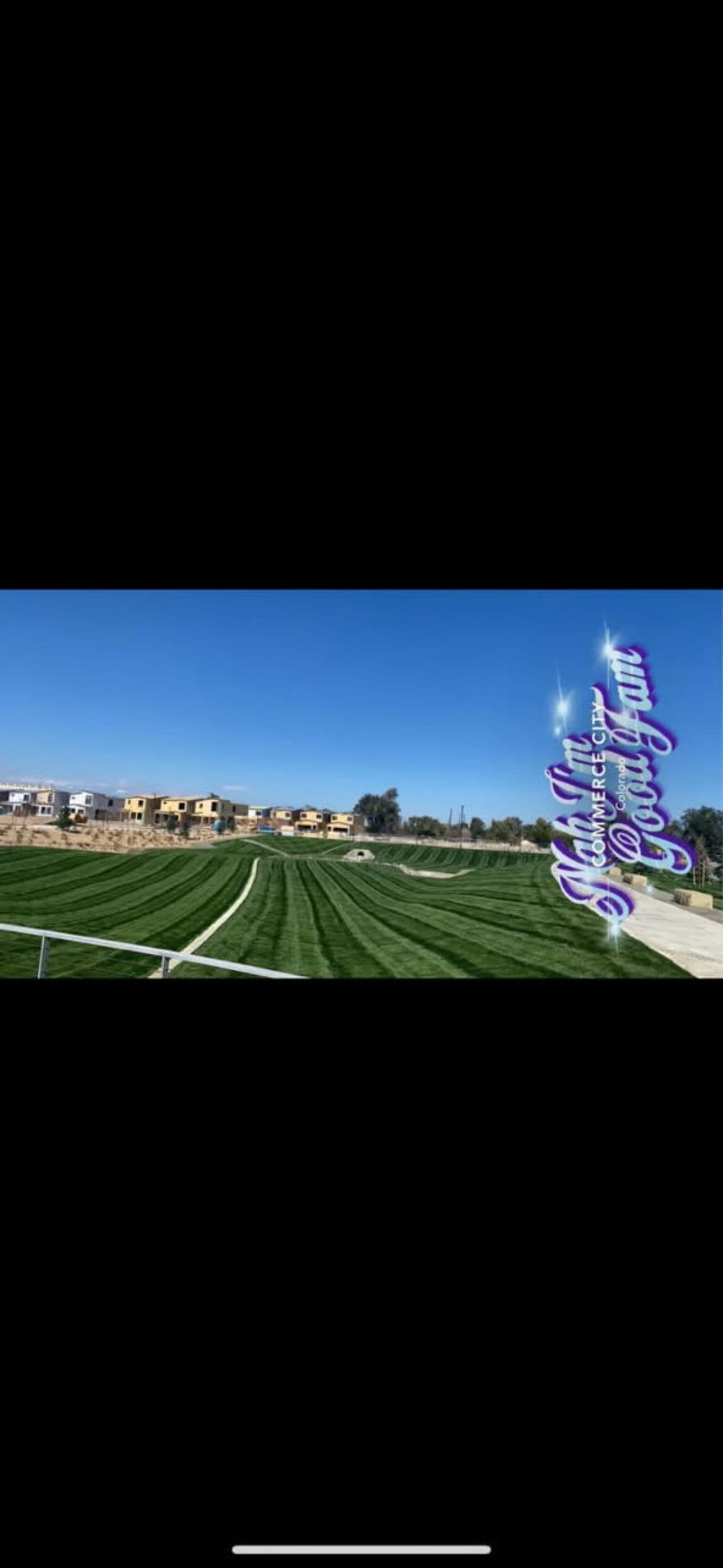 Project Some of Our Best Lawn Stripes Over the Years image