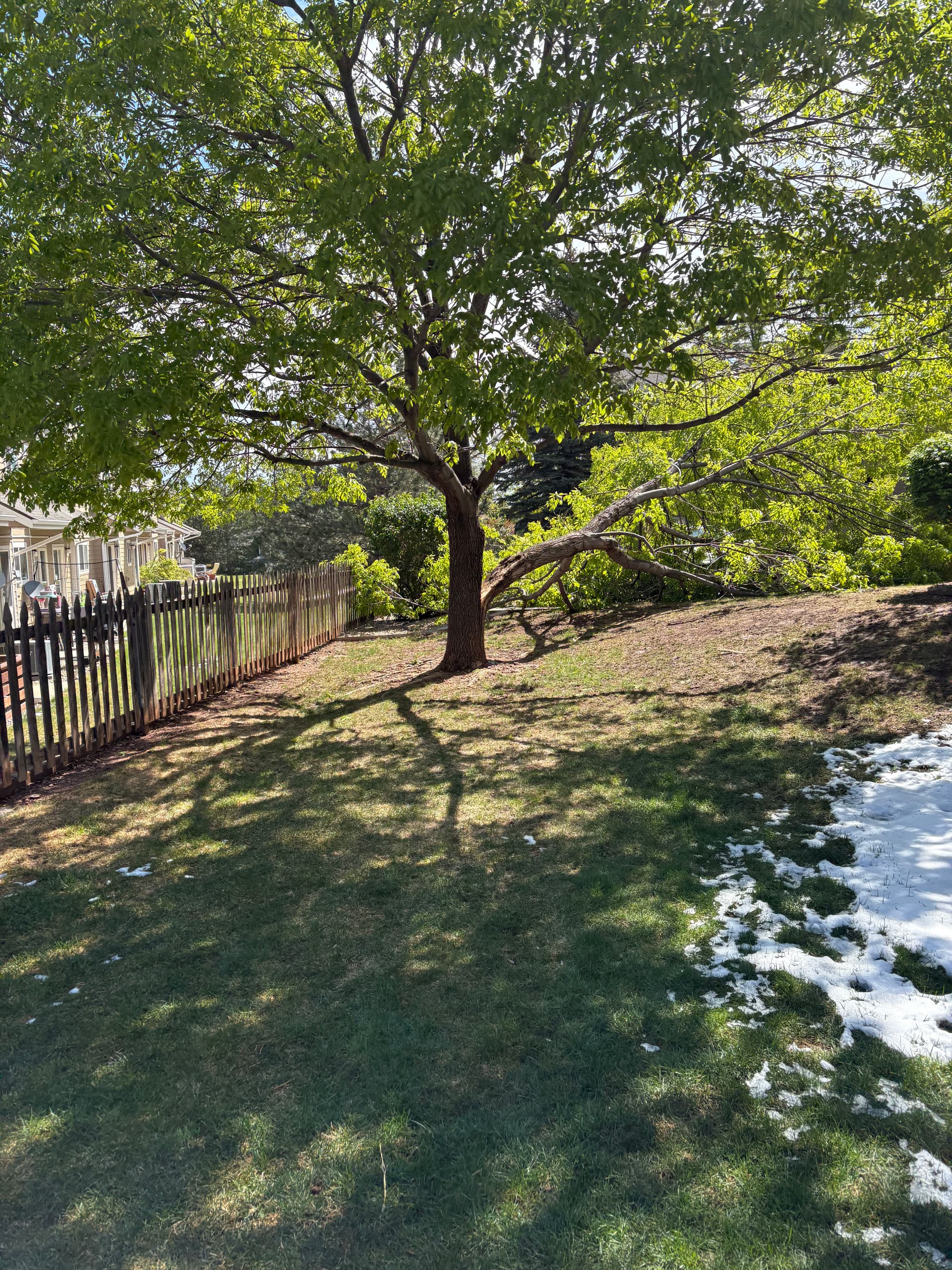 Gallery photos for May Snow Took Down Trees and We're Cleaning It Up: Image #1