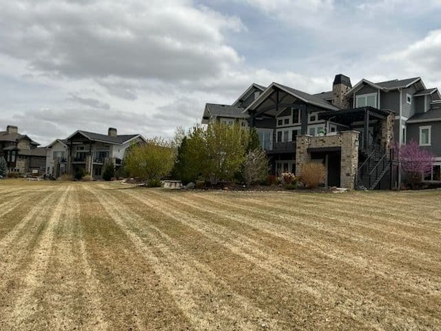 Timnith Estate Landscaping Transformation