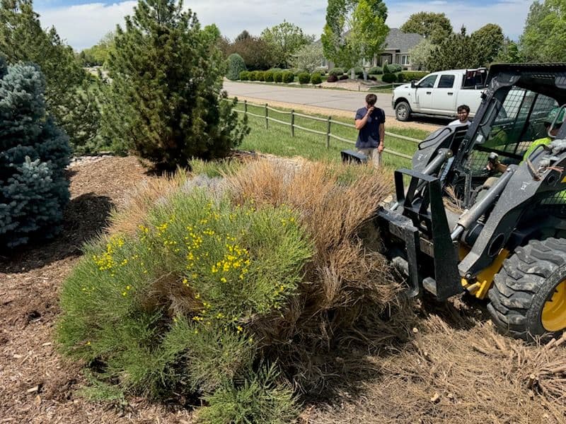 Project Boulder Landscaping Transformation at Local Home image
