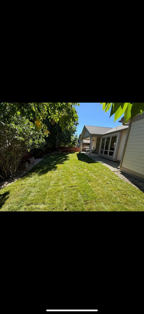 Backyard Oasis Crafted in Your Own Home