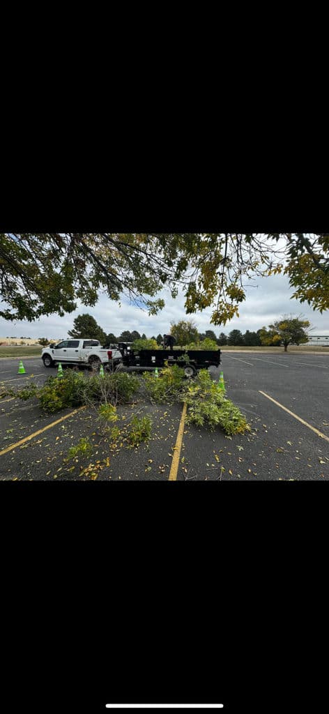 Project Tree Pruning for Safety in Local Parking Lots image