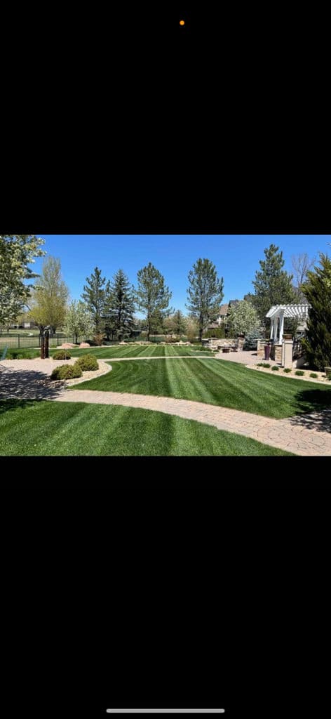 Achieve Perfect Lawn Stripes with Expert Care image