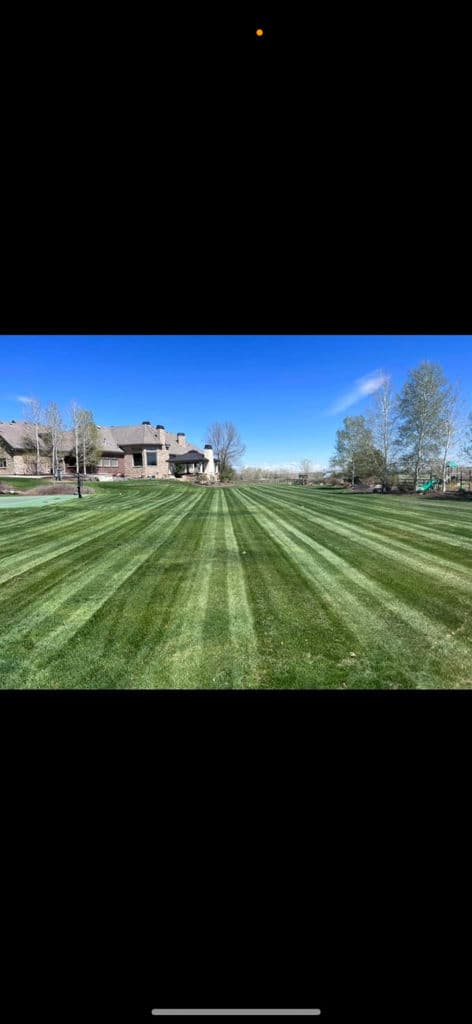 Gallery photos for Achieve Perfect Lawn Stripes with Expert Care: Image #1