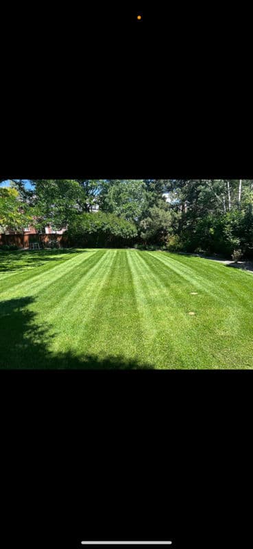 Gallery photos for Achieve Perfect Lawn Stripes with Expert Care: Image #2