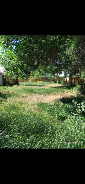 Backyard Transformation with Perfect Mulch