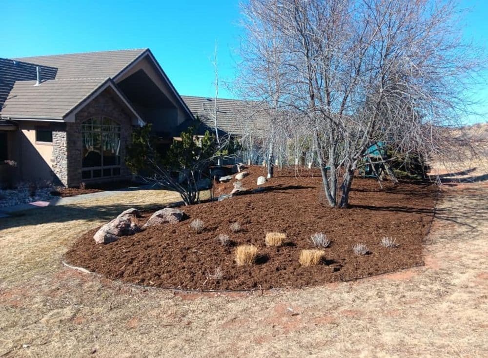 Landscaped yard with fresh mulch, trees, and decorative rocks under a clear blue sky.