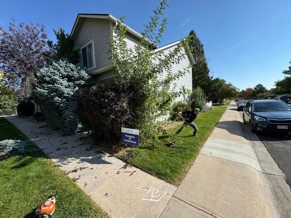 Person using a chainsaw to trim overgrown bushes near a residential property.