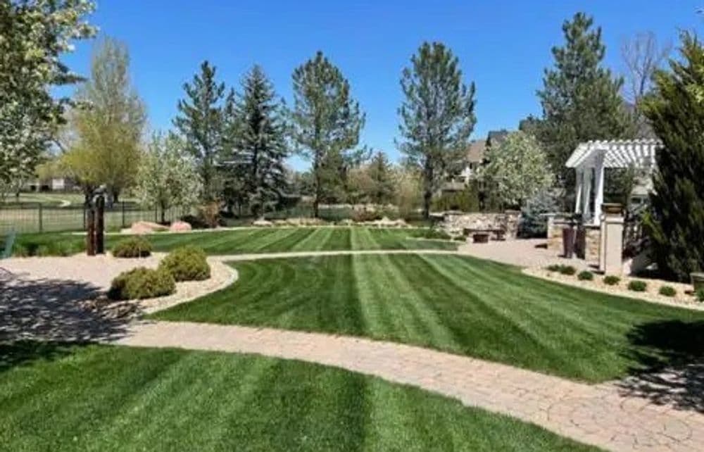 Achieve Perfect Lawn Stripes with Expert Care image