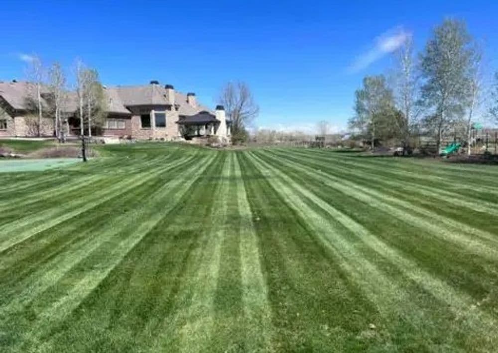 Gallery photos for Achieve Perfect Lawn Stripes with Expert Care: Image #2