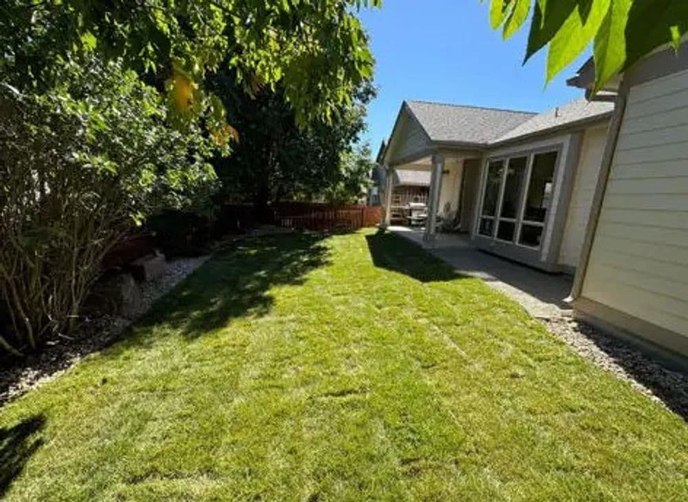 Backyard Oasis Crafted in Your Own Home