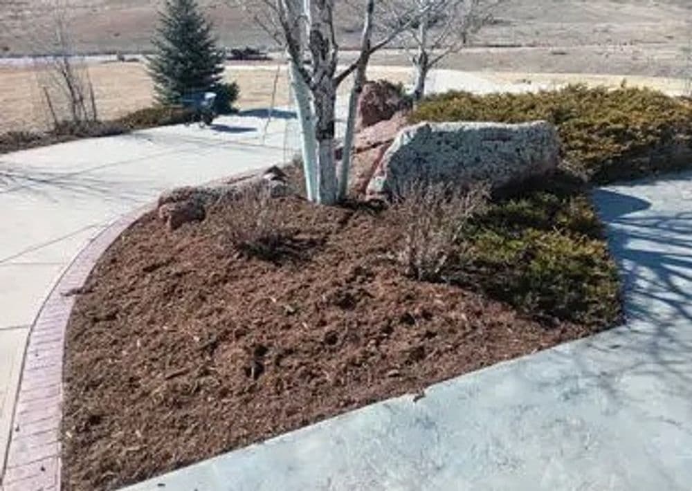 Gallery photos for Loveland Landscape Enhancement: Image #2