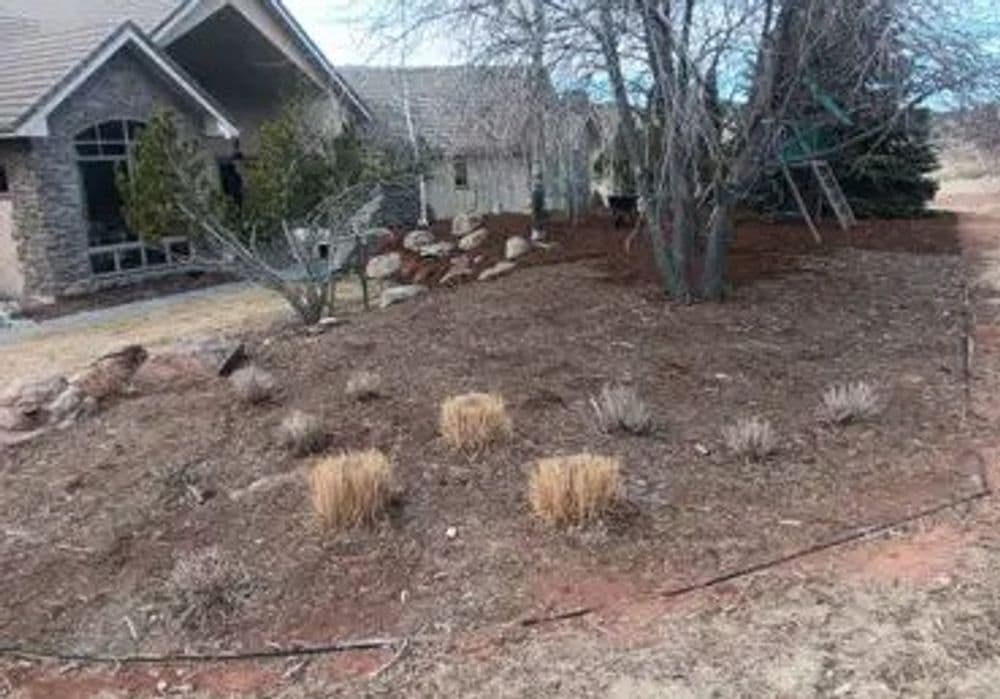 Gallery photos for Loveland Landscape Enhancement: Image #1