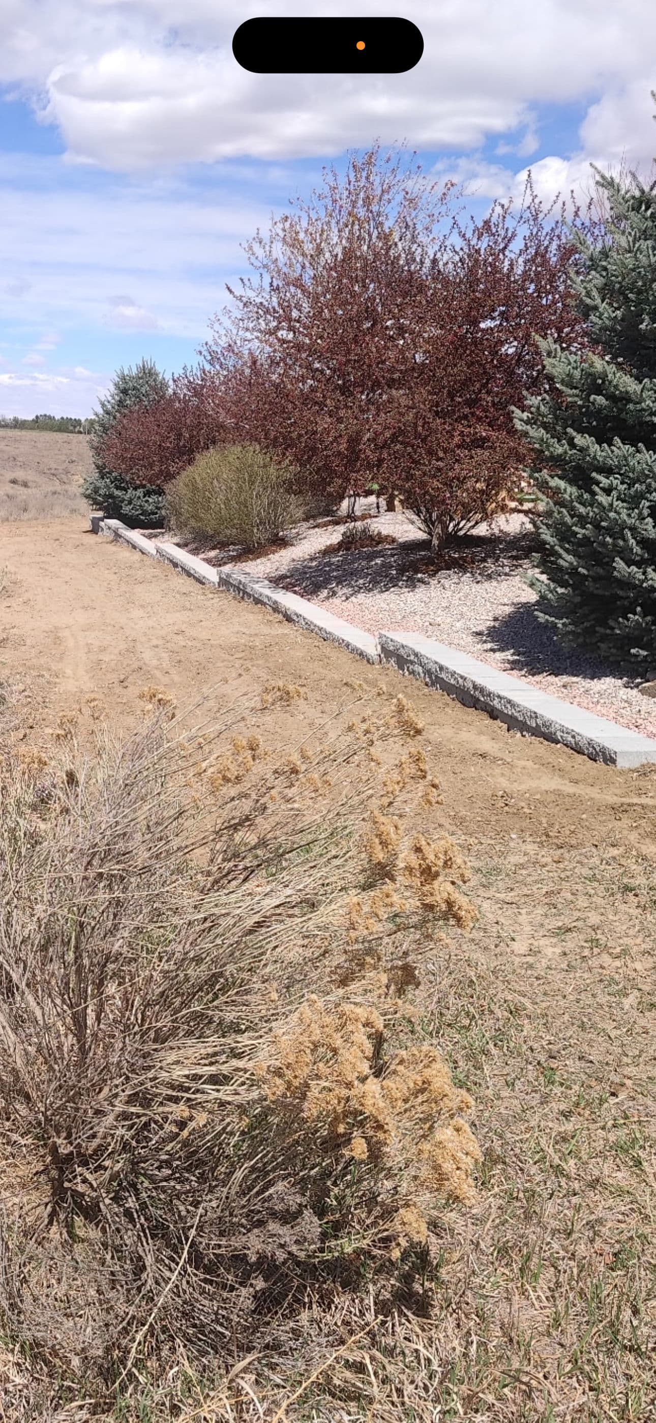 Nearly 300 Liner Feet of Retaining Wall Wraps Up a Massive Property image